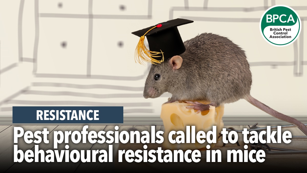 mice resist hero mice resist hero